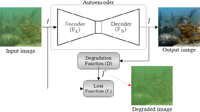 Figure 1 for Underwater enhancement based on a self-learning strategy and attention mechanism for high-intensity regions