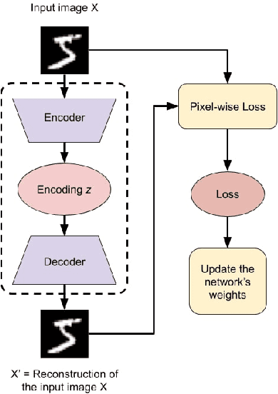 Figure 3 for Improving Auto-Encoders' self-supervised image classification using pseudo-labelling via data augmentation and the perceptual loss