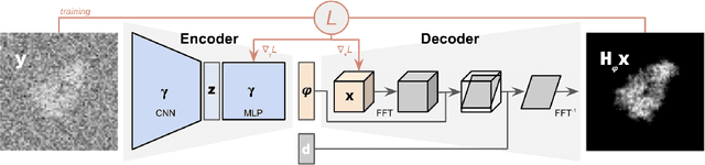 Figure 1 for End-to-End Simultaneous Learning of Single-particle Orientation and 3D Map Reconstruction from Cryo-electron Microscopy Data