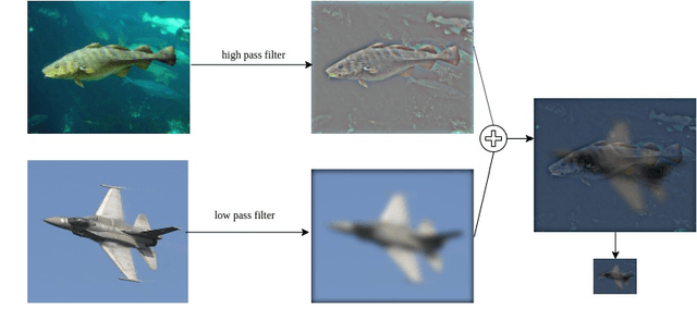 Figure 1 for A Deeper Look into Hybrid Images