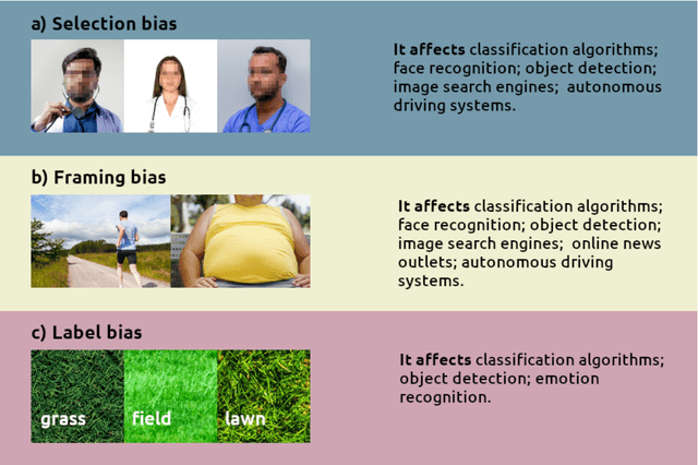 Figure 3 for A Survey on Bias in Visual Datasets