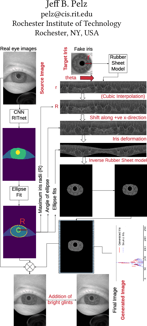 Figure 1 for Privacy-Preserving Eye Videos using Rubber Sheet Model
