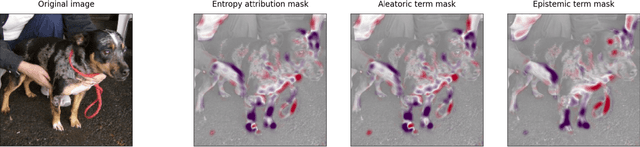 Figure 1 for Path Integrals for the Attribution of Model Uncertainties