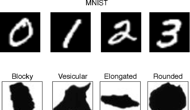 Figure 1 for Shape recognition of volcanic ash by simple convolutional neural network