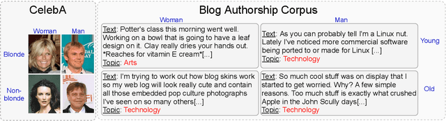 Figure 1 for The Impact of Differential Privacy on Group Disparity Mitigation