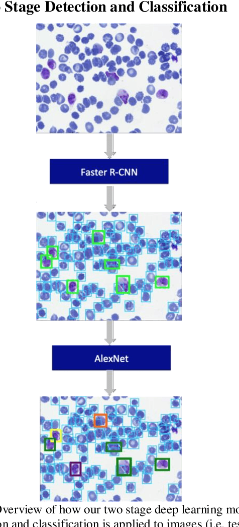 Figure 4 for Applying Faster R-CNN for Object Detection on Malaria Images