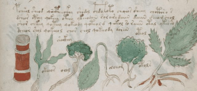 Figure 1 for Character Entropy in Modern and Historical Texts: Comparison Metrics for an Undeciphered Manuscript