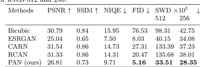 Figure 2 for Domain-Specific Image Super-Resolution with Progressive Adversarial Network