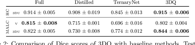 Figure 4 for 3DQ: Compact Quantized Neural Networks for Volumetric Whole Brain Segmentation