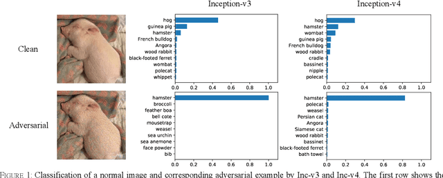 Figure 1 for Improving the Transferability of Adversarial Examples with the Adam Optimizer