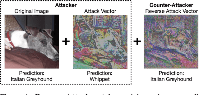 Figure 1 for Adversarial Attacks are Reversible with Natural Supervision