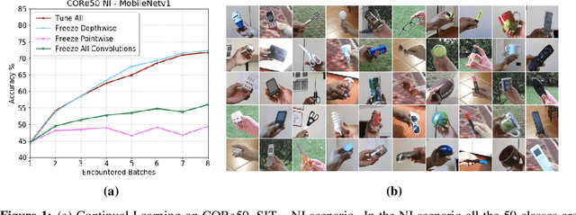 Figure 1 for Fine-Grained Continual Learning