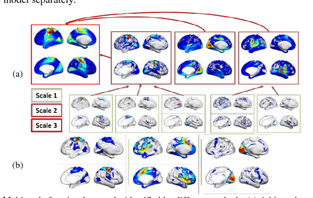 Figure 2 for Identification of multi-scale hierarchical brain functional networks using deep matrix factorization