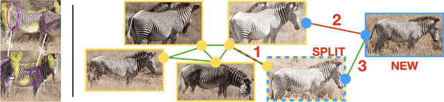 Figure 1 for The Animal ID Problem: Continual Curation