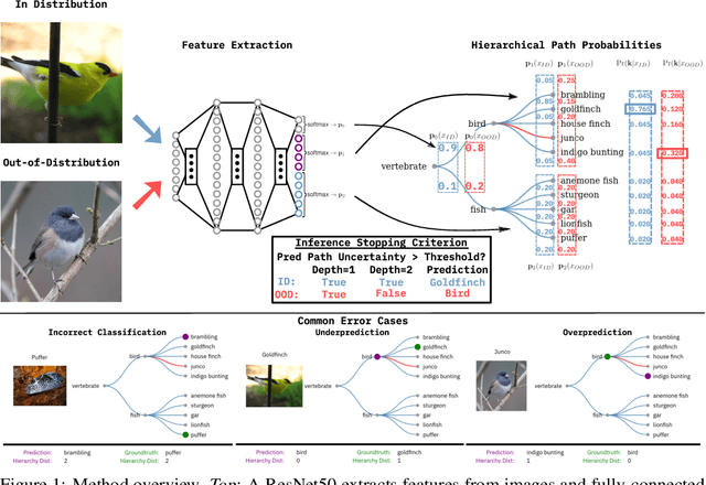 Figure 1 for Fine-grain Inference on Out-of-Distribution Data with Hierarchical Classification