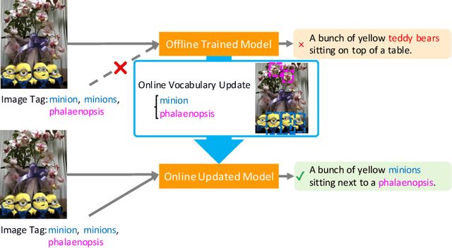 Figure 1 for Captioning Images with Novel Objects via Online Vocabulary Expansion