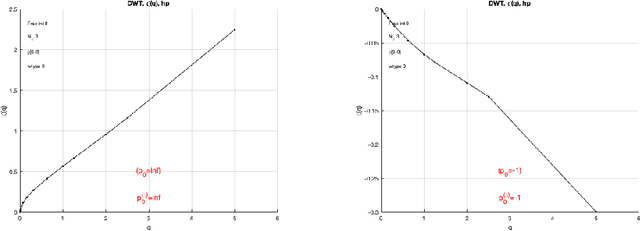 Figure 4 for A review of univariate and multivariate multifractal analysis illustrated by the analysis of marathon runners physiological data