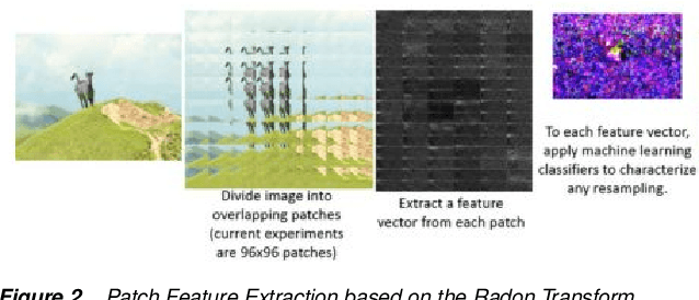 Figure 2 for Resampling Forgery Detection Using Deep Learning and A-Contrario Analysis