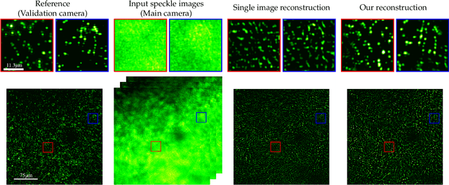 Figure 1 for Enhancing Speckle Statistics for Imaging inside Scattering Media