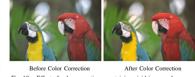 Figure 3 for Color Filter Arrays for Quanta Image Sensors