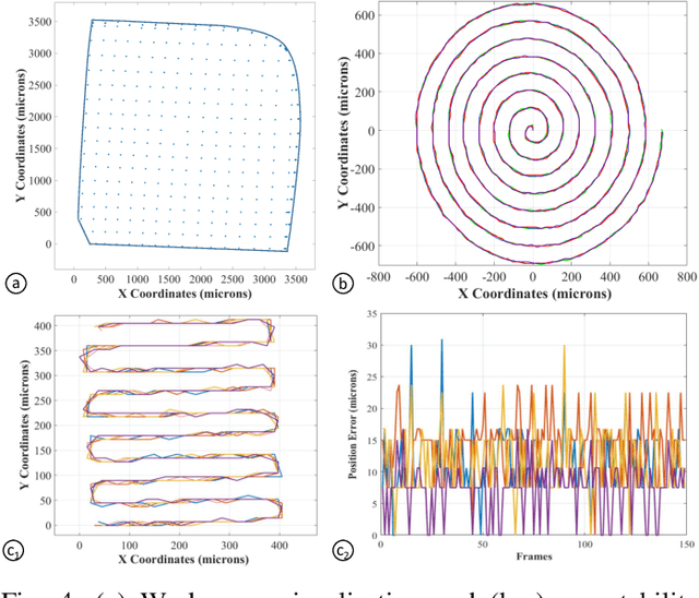 Figure 4 for Intraoperative robotic-assisted large-area high-speed microscopic imaging and intervention