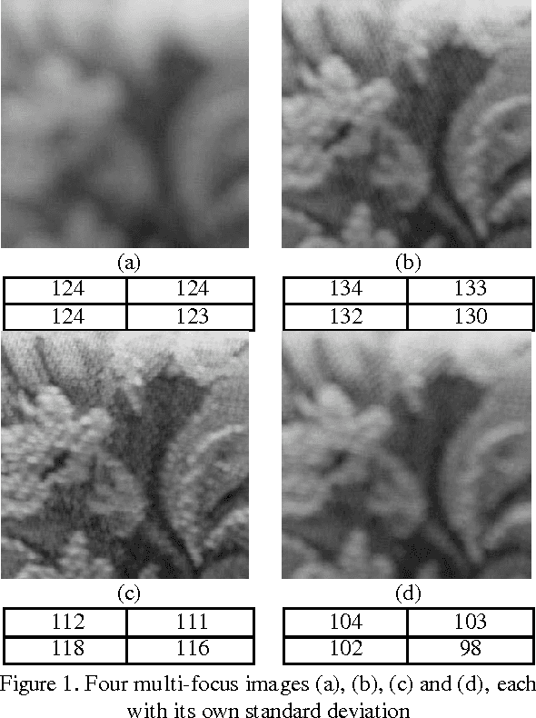 Figure 1 for Correcting Multi-focus Images via Simple Standard Deviation for Image Fusion