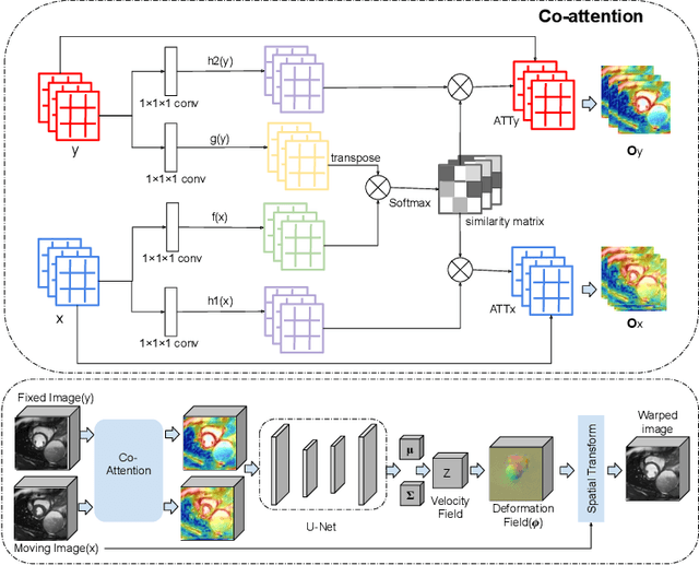 Figure 1 for CAR-Net: Unsupervised Co-Attention Guided Registration Network for Joint Registration and Structure Learning