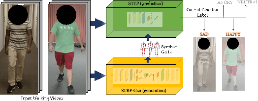 Figure 1 for STEP: Spatial Temporal Graph Convolutional Networks for Emotion Perception from Gaits