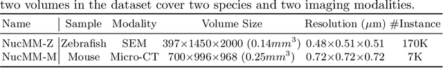 Figure 2 for NucMM Dataset: 3D Neuronal Nuclei Instance Segmentation at Sub-Cubic Millimeter Scale