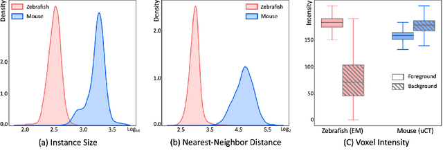Figure 3 for NucMM Dataset: 3D Neuronal Nuclei Instance Segmentation at Sub-Cubic Millimeter Scale