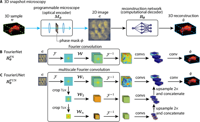 Figure 1 for Programmable 3D snapshot microscopy with Fourier convolutional networks