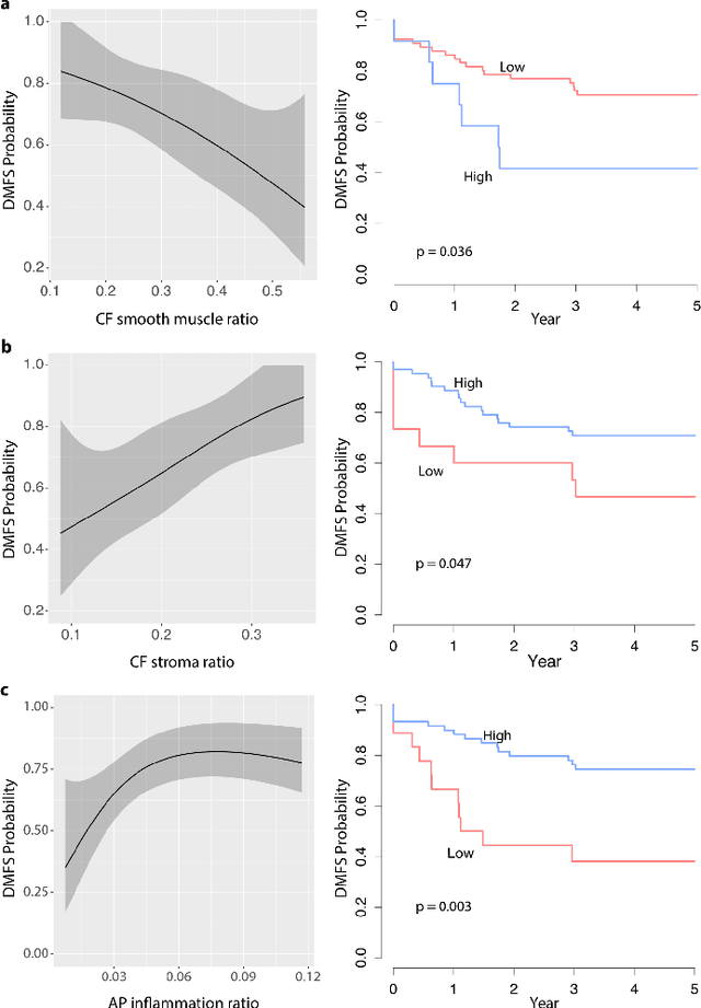 Figure 4 for Novel digital tissue phenotypic signatures of distant metastasis in colorectal cancer