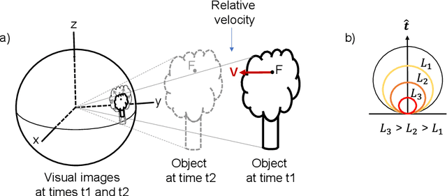 Figure 1 for Visual Looming from Motion Field and Surface Normals