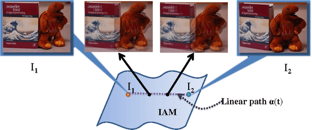 Figure 1 for A Theory for Optical flow-based Transport on Image Manifolds