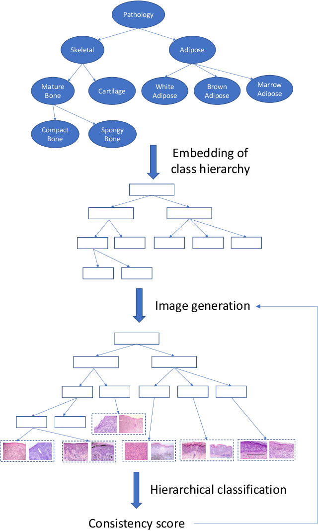 Figure 1 for TreeGAN: Incorporating Class Hierarchy into Image Generation