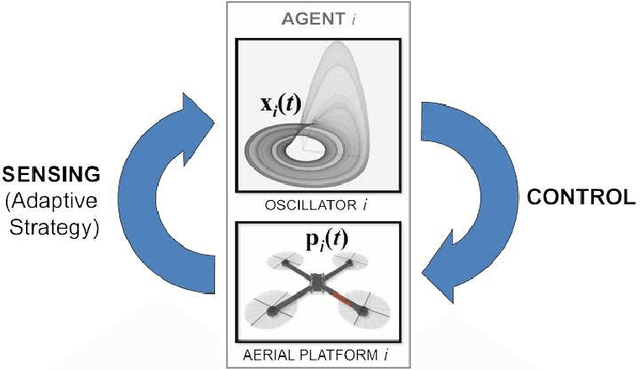 Figure 2 for Decentralized identification and control of networks of coupled mobile platforms through adaptive synchronization of chaos