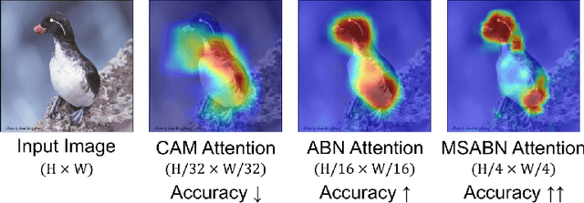 Figure 1 for Towards Better Guided Attention and Human Knowledge Insertion in Deep Convolutional Neural Networks