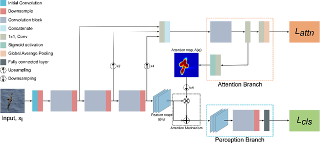 Figure 3 for Towards Better Guided Attention and Human Knowledge Insertion in Deep Convolutional Neural Networks