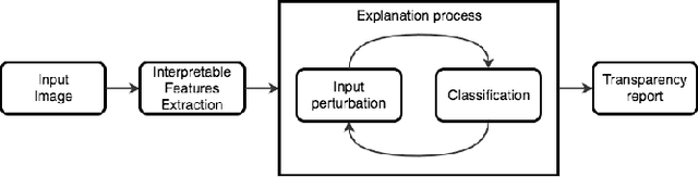 Figure 1 for What's in the box? Explaining the black-box model through an evaluation of its interpretable features