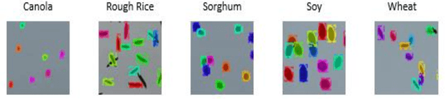 Figure 4 for Seed Phenotyping on Neural Networks using Domain Randomization and Transfer Learning