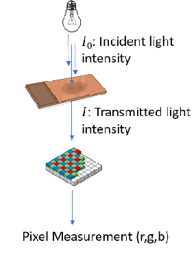Figure 3 for All You Need is Color: Image based Spatial Gene Expression Prediction using Neural Stain Learning