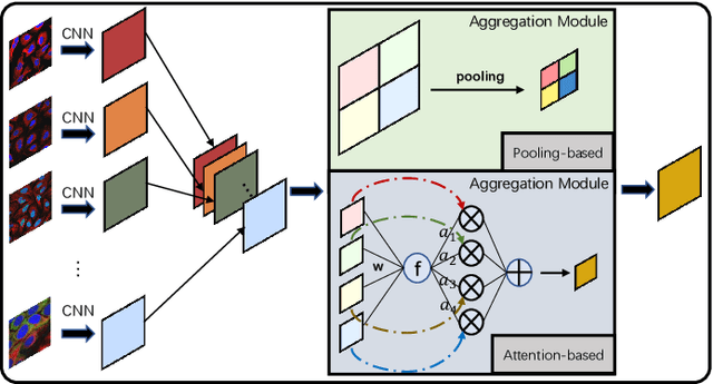 Figure 1 for HAMIL: Hierarchical Aggregation-Based Multi-Instance Learning for Microscopy Image Classification