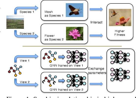 Figure 1 for Graph Symbiosis Learning