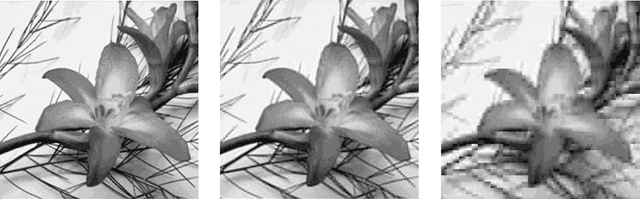 Figure 1 for A study for Image compression using Re-Pair algorithm