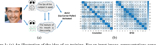 Figure 1 for Multi-label Co-regularization for Semi-supervised Facial Action Unit Recognition