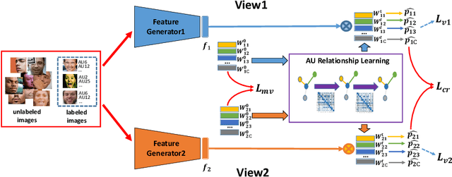 Figure 3 for Multi-label Co-regularization for Semi-supervised Facial Action Unit Recognition