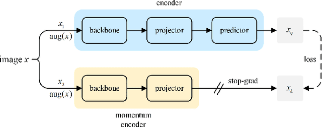Figure 1 for Parotid Gland MR Image Segmentation Based on Contrastive Learning