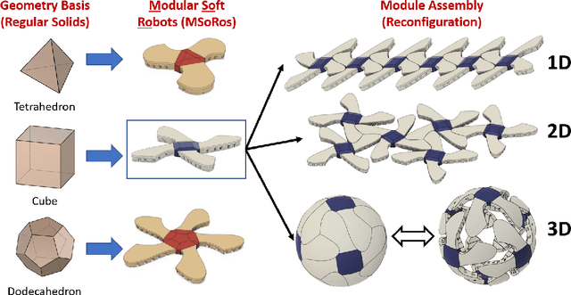 Figure 1 for Topology and morphology design of spherically reconfigurable homogeneous Modular Soft Robots (MSoRos)