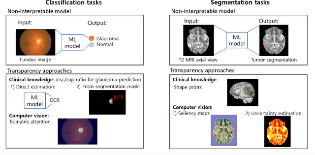 Figure 3 for INTRPRT: A Systematic Review of and Guidelines for Designing and Validating Transparent AI in Medical Image Analysis