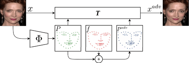 Figure 3 for Fast Geometrically-Perturbed Adversarial Faces